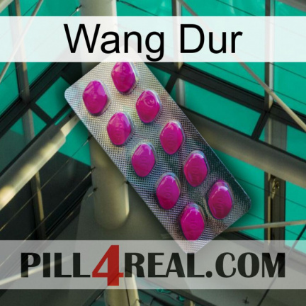 Hard Wang 09